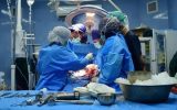 جراحی موفقیت‌آمیز پیوند سر توسط پزشکان ایرانی‌